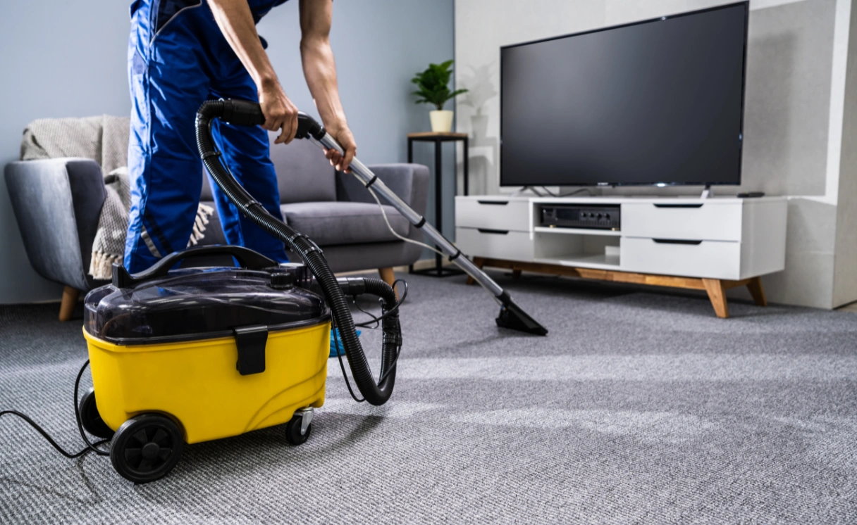 Extract Upholstery Cleaning Clematis Contact Office
